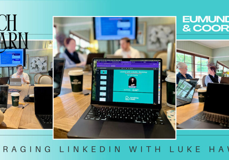 eumundi-cooroy-collab-linkedin-lunch-and-learn-august-2025